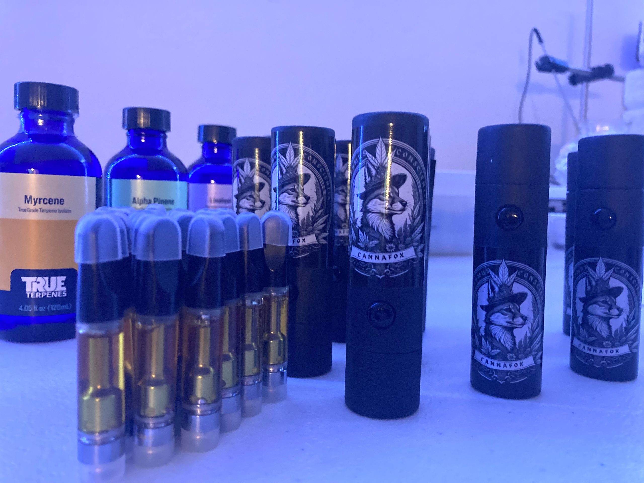 CannaFox cartridges, branded packages, and terpene bottles arranged for documentation